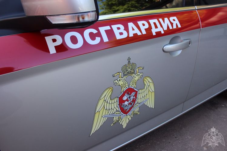 Сотрудники Росгвардии задержали гражданку, совершившую кражу товаров