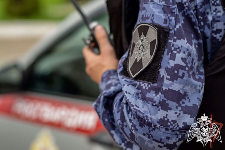 Росгвардейцы задержали гражданина, совершившего кражу