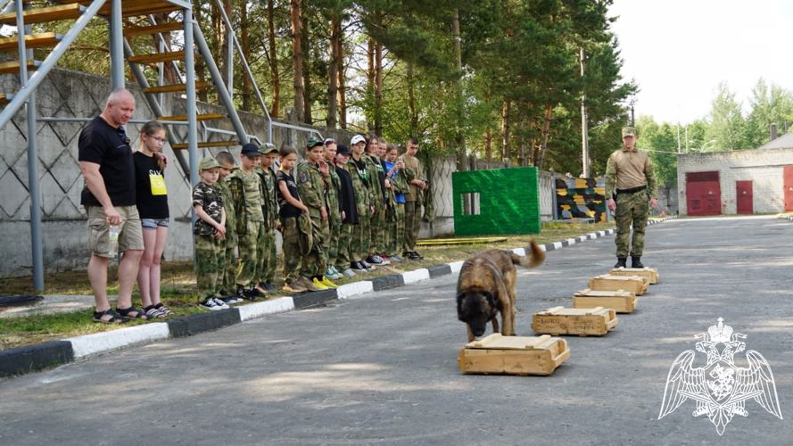 Кинологи Росгвардии провели для воспитанников «Гвардейской смены» мастер-класс по дрессировке собак