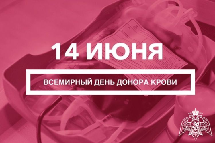 От сердца к сердцу: 14 июня Всемирный день донора крови
