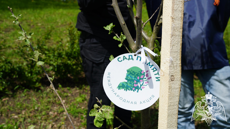 Росгвардейцы поддержали акцию «Сад памяти» в Брянске