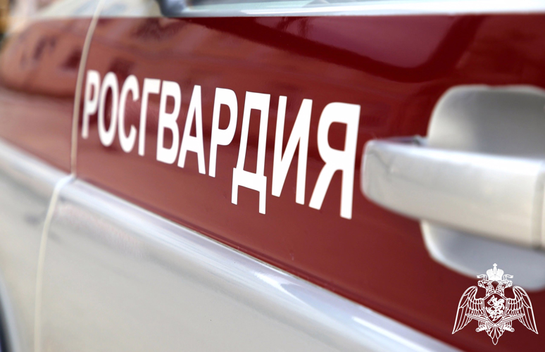 В Брянске росгвардейцы задержали подозреваемого в краже из магазина
