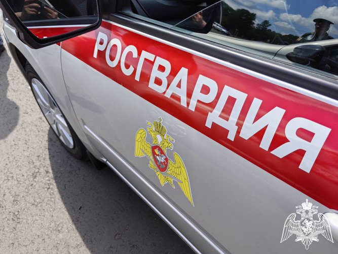 Более 290 раз за неделю брянские росгвардейцы выезжали по сигналу «тревога»