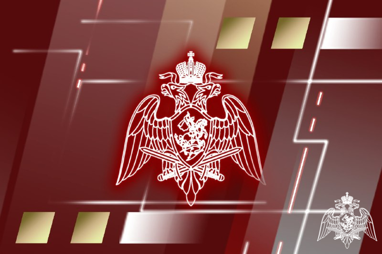 В Управлении Росгвардии по Брянской области подвели итоги служебно-боевой деятельности за 2024 год