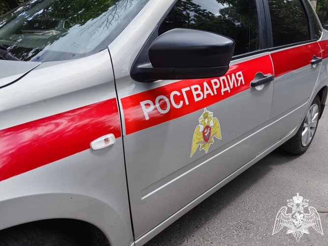 В Брянске росгвардейцы задержали подозреваемого в краже из магазина