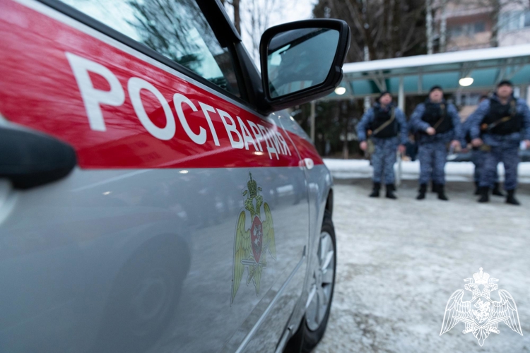 Росгвардейцы задержали 25 граждан за административные правонарушения за прошедшую неделю в Брянске 
