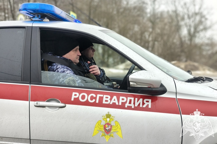Росгвардейцы за неделю задержали более 20 правонарушителей в Брянске