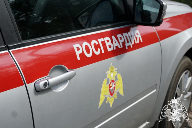 Росгвардейцы задержали вора в пункте выдачи заказов одного из маркетплейсов в Брянске