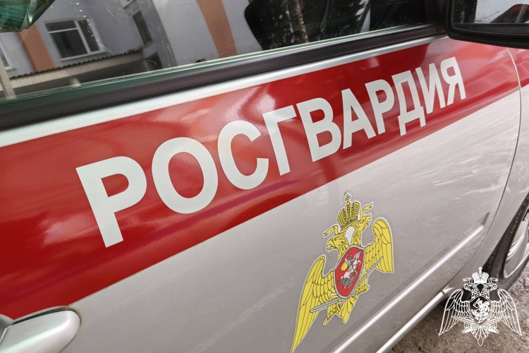В Брянске росгвардейцы за неделю задержали 30 правонарушителей