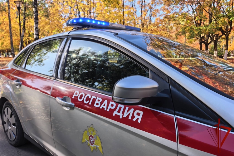 Более 30 правонарушителей задержали росгвардейцы за прошлую неделю в Брянске