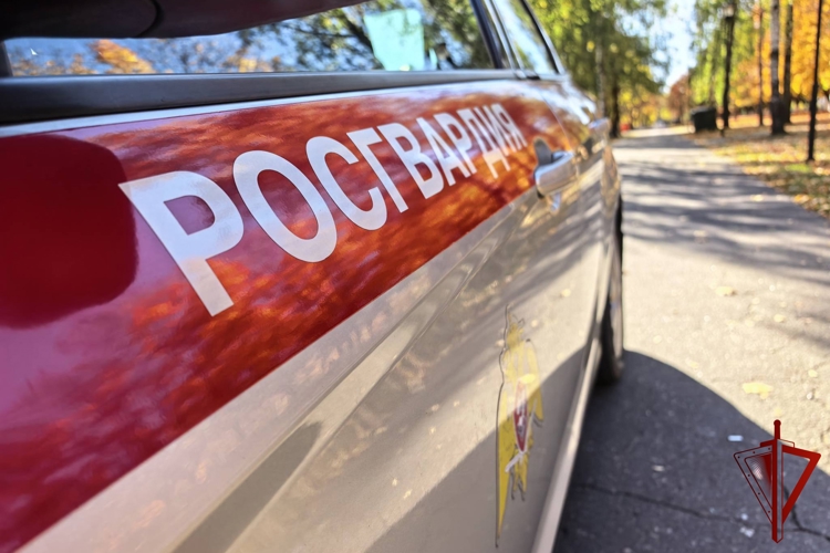 Росгвардейцы задержали злоумышленников, сливавших бензин из припаркованных автомобилей в Брянске